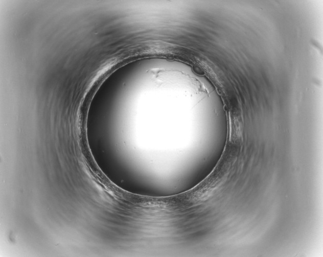 X0000093720435200710301027