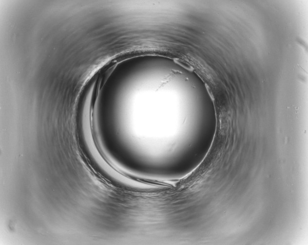 X0000093720436200710301027