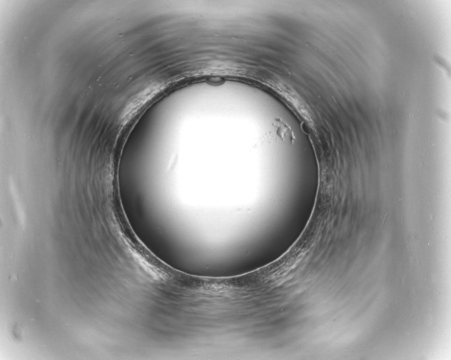 X0000093720437200710301027