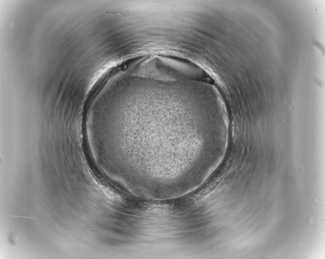 X0000093720438200710301027