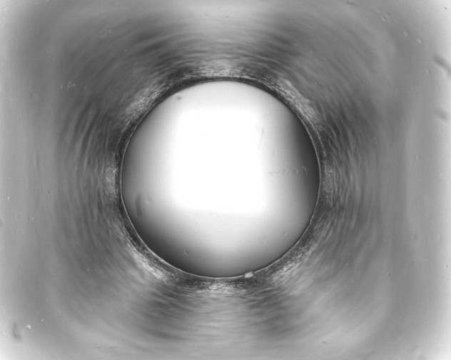 X0000093720441200710301027