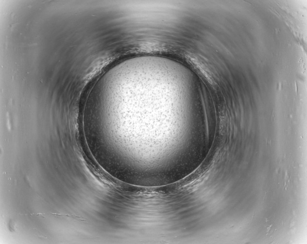 X0000093720443200710301028