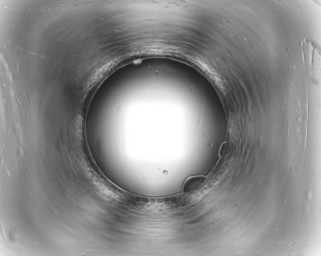 X0000093720445200710301028