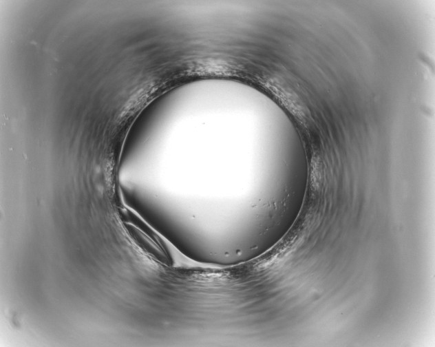 X0000093720449200710301028