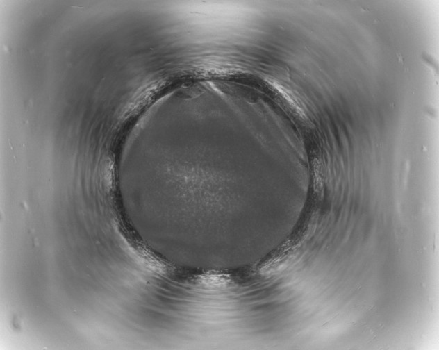 X0000093720451200710301028