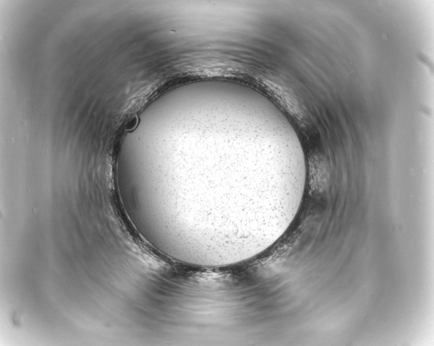 X0000093720453200710301028