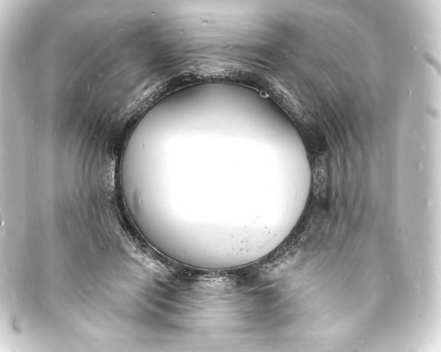X0000093720454200710301028