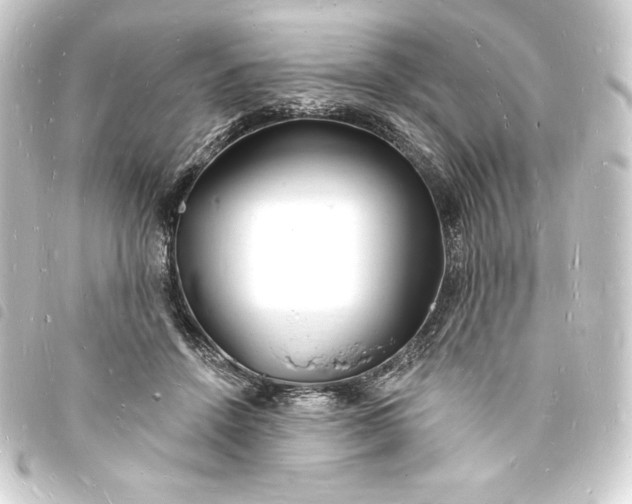 X0000093720456200710301028