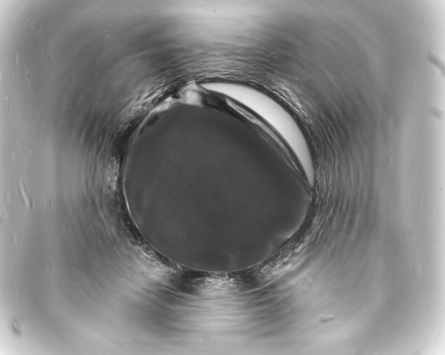 X0000093720458200710301028