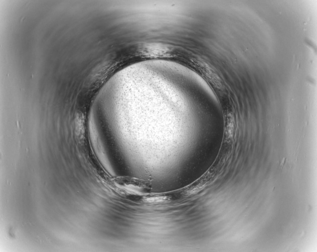 X0000093720461200710301028