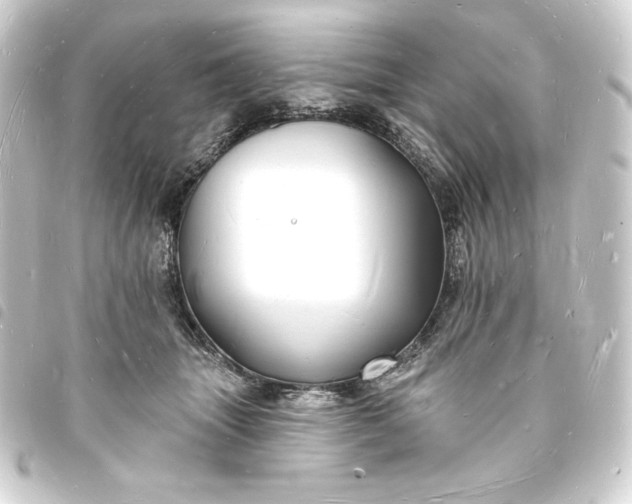 X0000093720463200710301028
