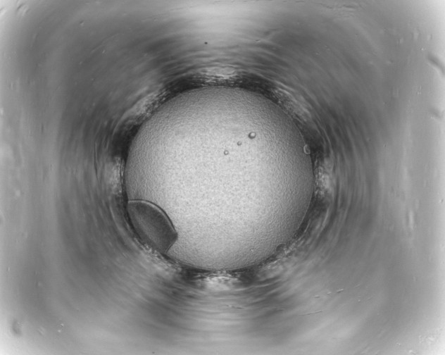 X0000093720468200710301028