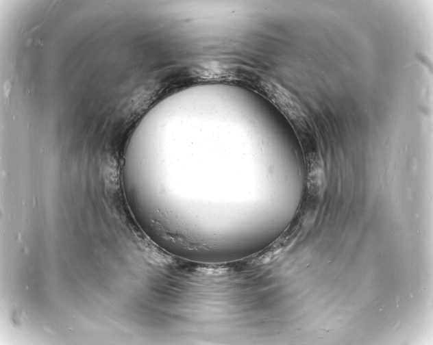X0000093720469200710301028