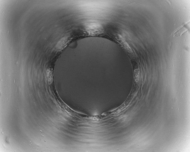 X0000093720471200710301028