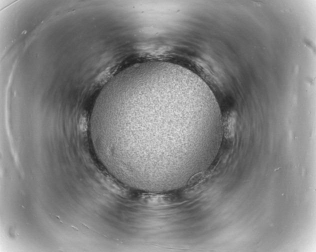 X0000093720472200710301028