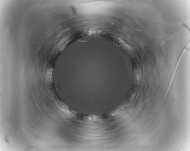 X0000093720475200710301028