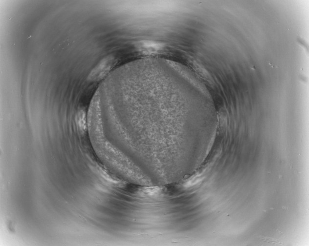 X0000093720479200710301028