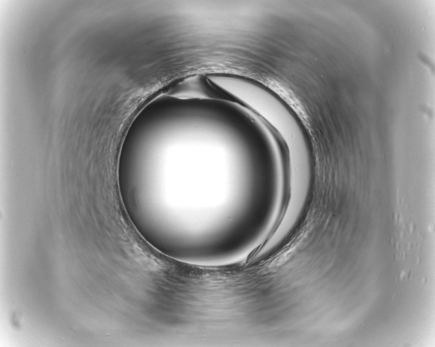 X0000093720481200710301027