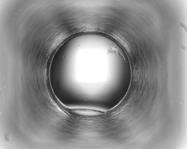 X0000093720485200710301027