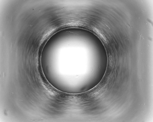 X0000093720486200710301027