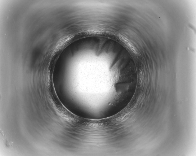 X0000093720494200710301027