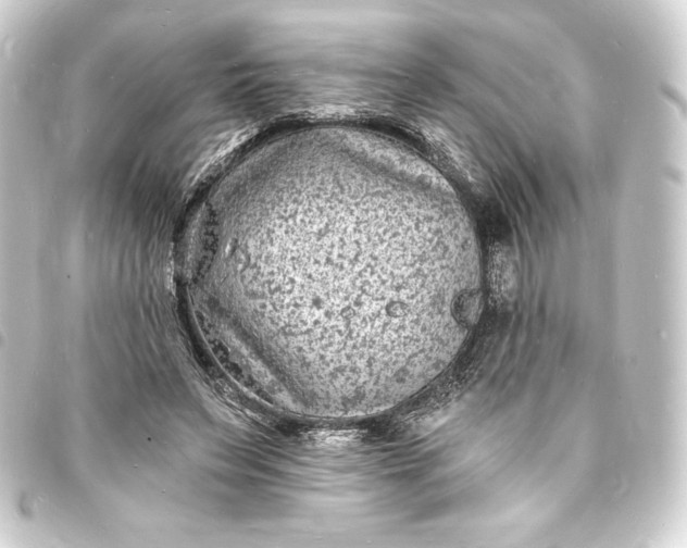 X0000093720495200710301027