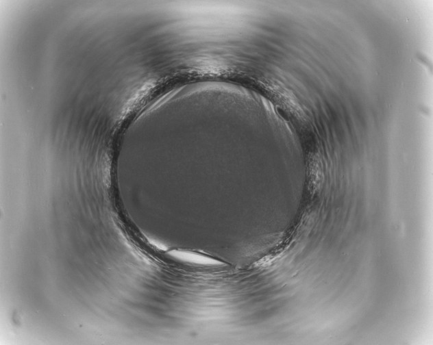 X0000093720496200710301027
