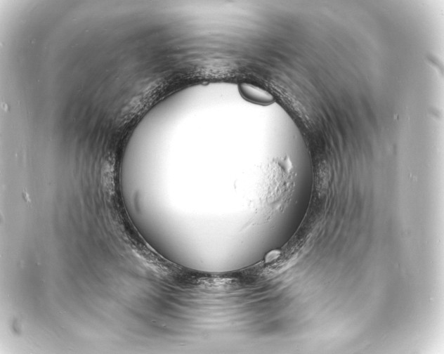 X0000093720497200710301027