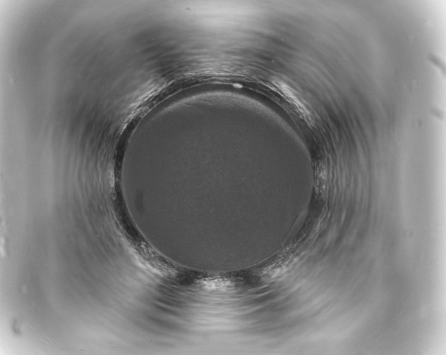 X0000093720500200710301027