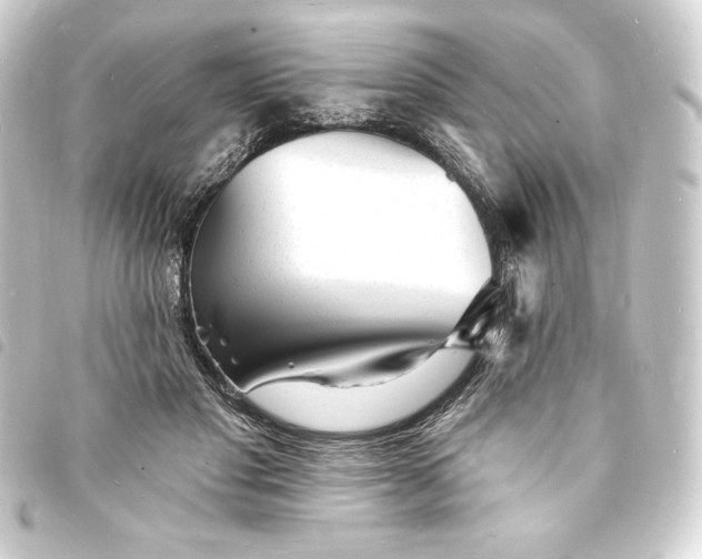 X0000093720501200710301027