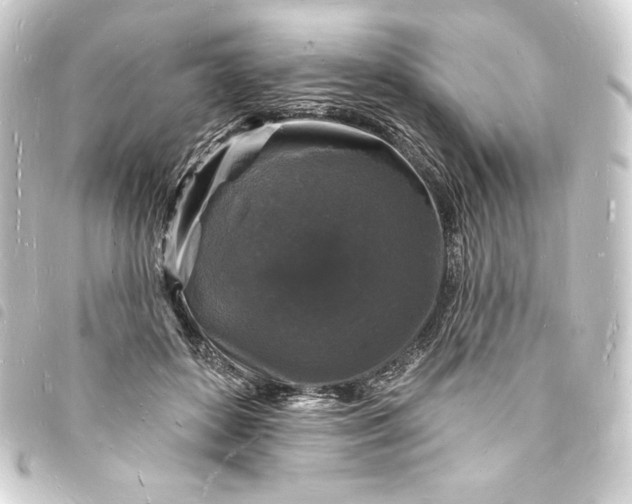 X0000093720504200710301027