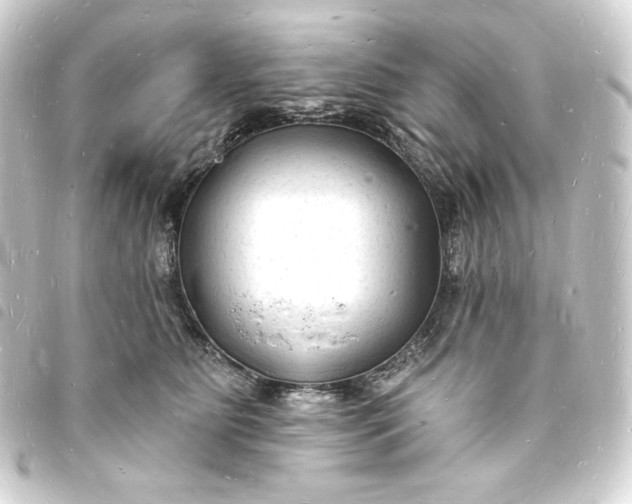X0000093720515200710301027