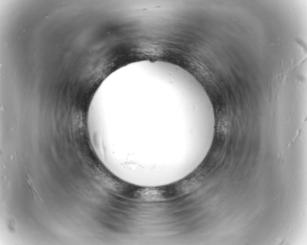 X0000093720518200710301027