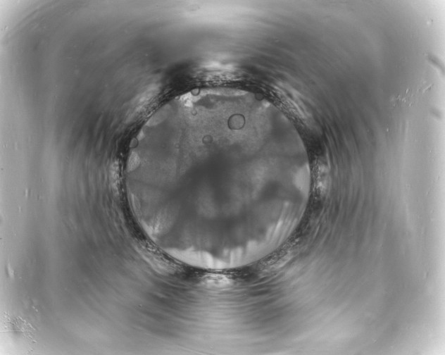 X0000093720519200710301027