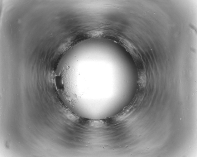 X0000093720525200710301027