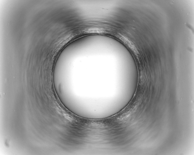 X0000093720529200710301026