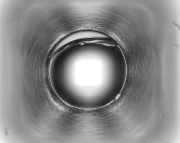 X0000093720530200710301026