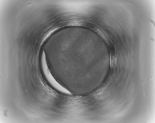 X0000093720531200710301026