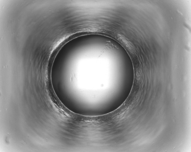 X0000093720532200710301026