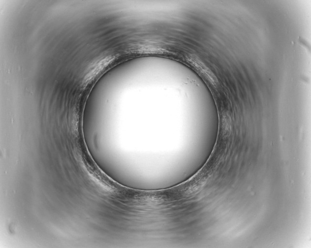 X0000093720533200710301026