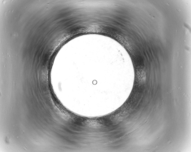 X0000093720534200710301026