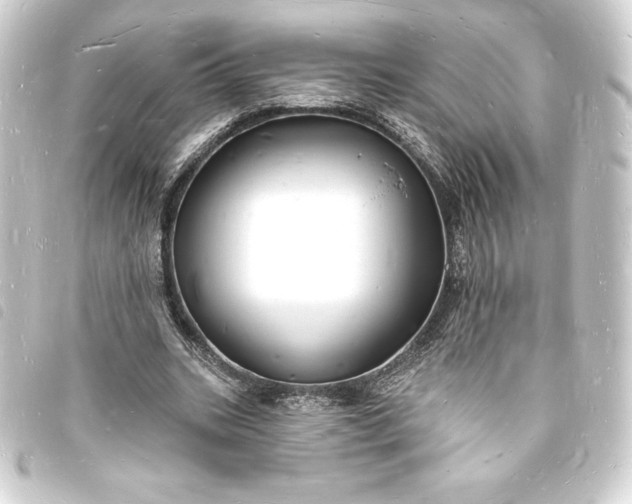 X0000093720535200710301026