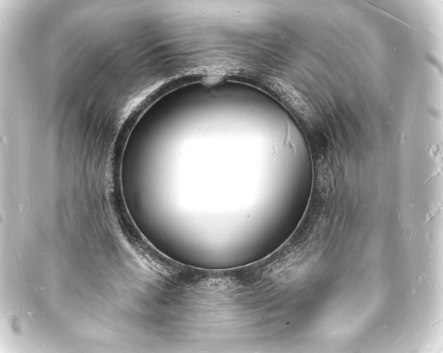 X0000093720536200710301026