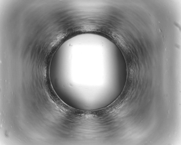 X0000093720539200710301026