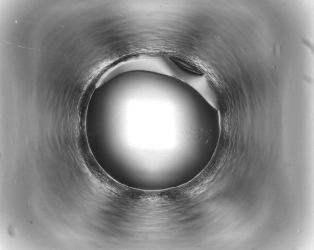 X0000093720540200710301026