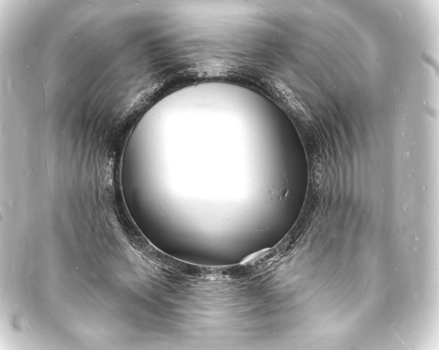 X0000093720543200710301026