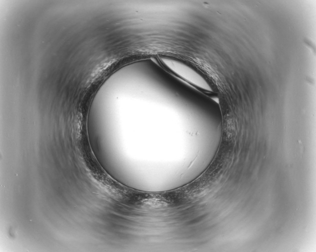 X0000093720544200710301026