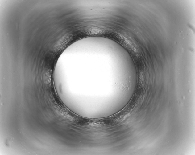 X0000093720545200710301026
