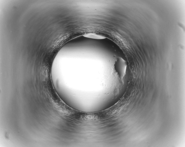 X0000093720546200710301026
