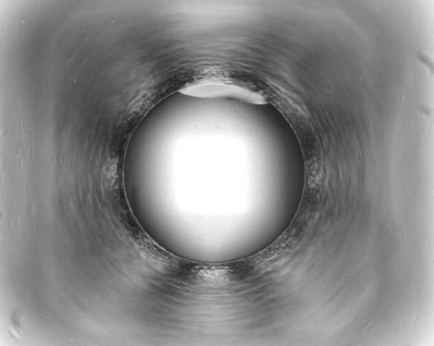 X0000093720560200710301026